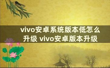 vivo安卓系统版本低怎么升级 vivo安卓版本升级